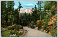 c1940s Linen Highway 70 Mescalero Sacramento Mountain Indian Vintage Postcard picture