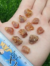 Extremely Rare Scheelite Crystals (11 Small pieces Lot ) From Skardu Pakistan  picture