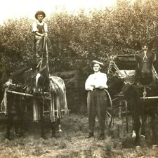 1910s Horses Carriage Trailer Rider Man Elevated RPPC Real Photo Big Trousers A8 picture