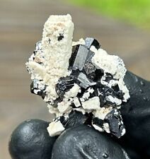 Shiny Terminated BLACK TOURMALINE & FELDSPAR Crystal Mineral - Erongo, NAMIBIA picture