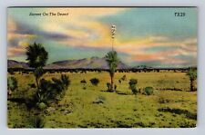 Sunset on the Desert, Plants, Antique Vintage Souvenir Postcard picture