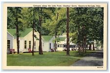 c1940 Cottages Along Lake Front Chestnut Grove Geneva On The Lake Ohio Postcard picture