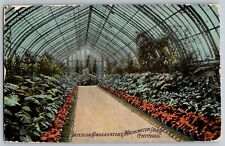 Chicago, Illinois - Interior Conservatory - Washington Park - Vintage Postcard picture