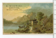 wd3 Trade Card 1890's H Woodward Drugs Middletown CT River Raft 546a picture