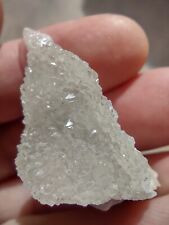 Agatized Coral Rare Crystal Natural Geode Piece Stunning Specimen Druzi Shiny AU picture