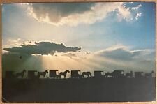 Lancaster Amish Funeral Procession Silhouette Pennsylvania Postcard c1960 picture
