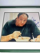 The Sopranos JAMES GANDOLFINI Authenticated Autograph * Tony Soprano 16” x  20” picture
