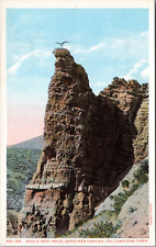 Eagle Nest Rock, Yellowstone Park, Wyoming- Haynes Postcard 155 - 100 Series picture