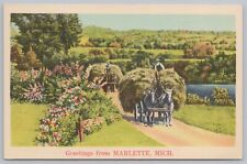 Greetings~Carriages Carrying Hay Marlette Michigan~Vintage Postcard picture