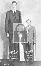 Robert Wadlow Tallest Man Dayton Ohio OH Reprint Postcard picture