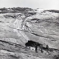 a18 Original Negative 1966  Jasper Columbia Ice Field 901a picture