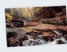 Postcard River/Stream Gerry Ellis/Ellis Nature Photography USA North America picture