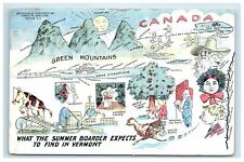 Vermont Cartoon Postcard Signed Frank W. Swallow Artwork Art picture