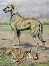Irish Wolfhound - Vintage Color Dog Art Print - CUSTOM MATTED picture