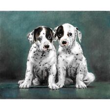 ✿ ORIGINAL Oil Portrait Painting DALMATIAN Artist Signed Dog Artwork Two Puppies picture