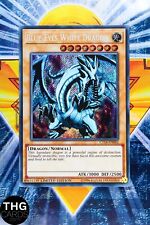 Blue Eyes White Dragon CT14-EN002 Secret Rare Yugioh Card picture