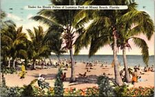 Miami Beach FL Florida, Under The Shady Palms Of Lummus Park Vintage Postcard picture