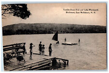 c1960's Tumble-Down-Dick Birchmont East Wolfeboro New Hampshire NH Postcard picture