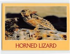 Postcard Horned Lizard picture