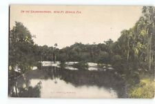 Old Vintage Postcard of ON THE CALOOSAHATCHEE NEAR FT DENAUD FL picture