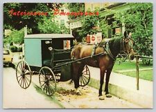 Amish Carriage Horse & Buggy tied to Hitching Post, Intercourse PA 4x6 Postcard picture