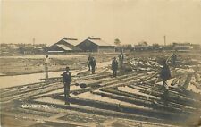 Postcard RPPC -1910 Texas Groveton Logging Lumber 23-12012 picture