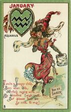 Postcard C-1910 Tuck Dwig Astrology January Aquarius fashion woman 24-5674 picture