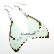Unique Butterfly Earrings - Morpho catenaria - M35 picture