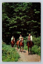 Newton NJ-New Jersey, Scenic Greetings, People On Horses, Vintage Postcard picture