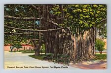 Fort Myers FL-Florida, Court House Square, Banyan Tree, Vintage Postcard picture