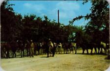 Kerrville, TX Texas  LAZY H DUDE RANCH  Horses~Head Wrangler  ROADSIDE  Postcard picture
