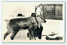 Reindeer With Man Snowy Scene Norway Renen Rigges til RPPC Vintage Postcard picture