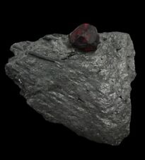 Garnet Crystals In Graphite Xls: Red Embers Mine. Erving, Massachusetts 🇺🇸 picture