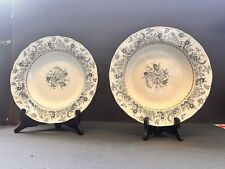1890’s Antique vintage pair  Iron stone English transferware bowls mayers sylvan picture