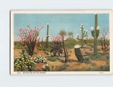 Postcard Springtime on the Desert picture