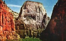 Postcard UT Zion National Park Great White Throne Chrome Vintage PC G4869 picture