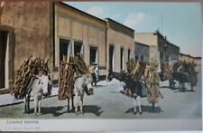 Loaded Burros, Donkeys, Mexico. Early 1900s Vintage Unposted picture