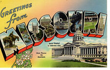 Postcard Large Letter Postcard Missouri -9159 picture