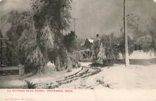 An October Snow Storm Ishpeming Michigan MI Residential Street c1907 Postcard picture
