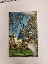 POSTCARD:  The United States Capitol At Cherry Blossom Time, Washington, D. C. picture