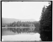 Ammonoosuc Lake White Mtns New Hampshire c1900 Historic Old Photo picture