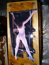 VINTAGE ART PLAYBOY NUDE WOMAN WALL PLAQUE ON 12 X 6 X 3/4 PINE ROUGH SAW BOARD picture