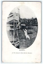 c1905 Horse Queen Diving Canoe Boat Unposted Antique Postcard picture
