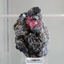 Rhodochrosite with Quartz from Sweet Home Mine, Colorado - Rare Collectors Piece picture