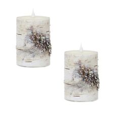 Melrose LED Birch Designer Candle with Remote (Set of 2) picture