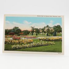 Linen Postcard Beauty Spot In Byrnes Park, Waterloo, Iowa Postcard (UnPosted) picture