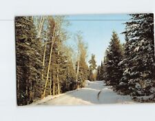 Postcard Winter Roadway Nature Scene picture