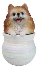 Pet Pomeranian Pom Pom Teacup Puppy Dog Figurine With Glass Eyes Pup In Pot picture