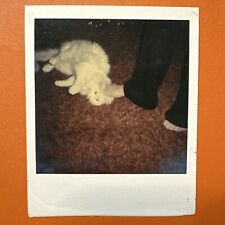 VINTAGE POLAROID PHOTO barefoot woman petting white cat with foot cute unusual picture