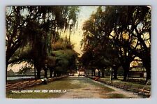 New Orleans LA-Louisiana, Audubon Park Walkway, Antique Vintage c1908 Postcard picture